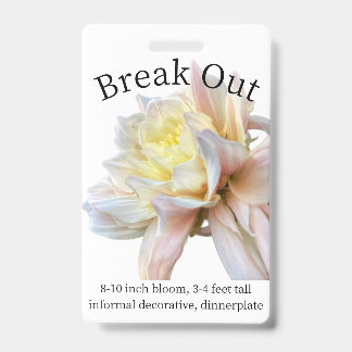 Tarjeta De Identificación Insigne de identificación de dalia Break Out