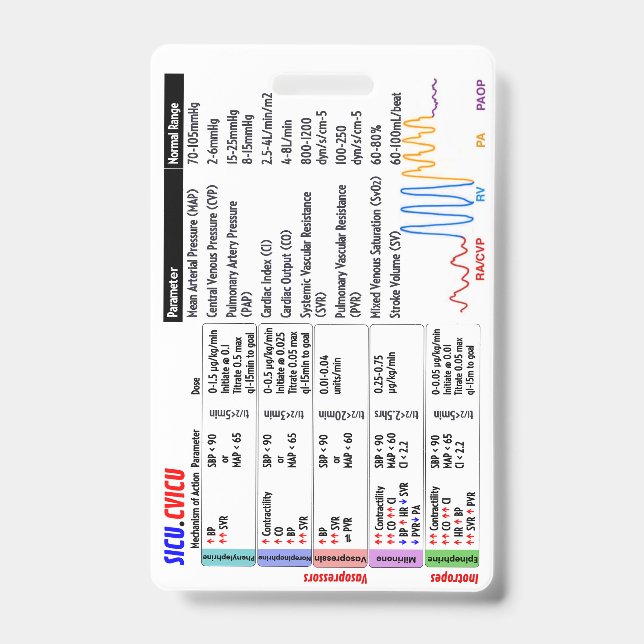 Tarjeta De Identificación Insígnia (Parte frontal)