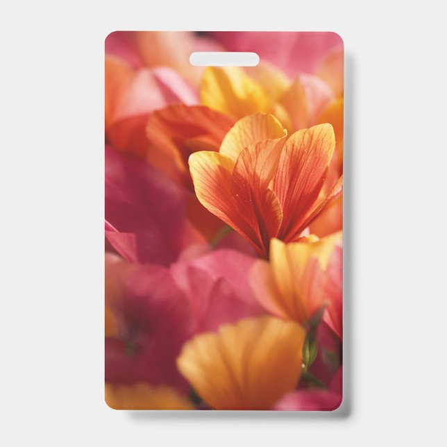 Tarjeta De Identificación Insígnia (Parte frontal)