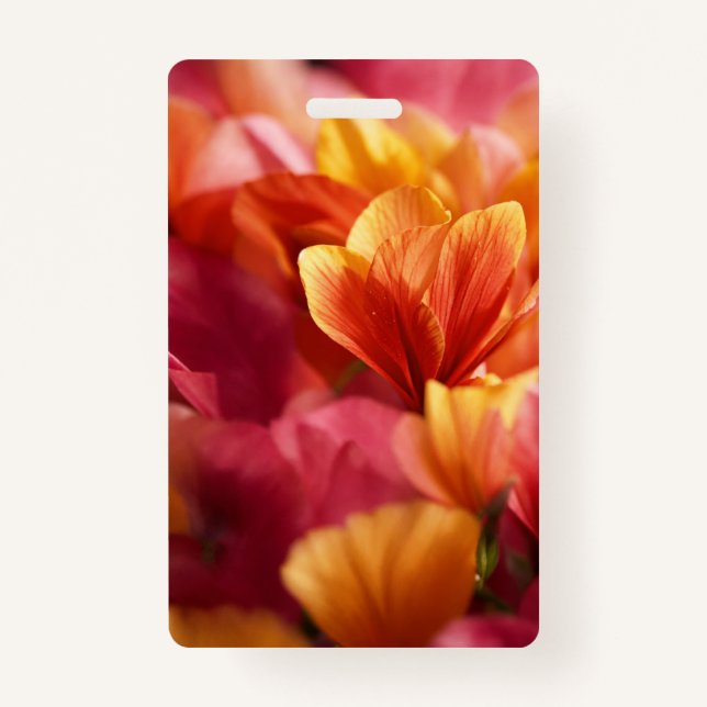 Tarjeta De Identificación Insignia (Anverso)