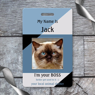 Tarjeta De Identificación Insignia de nombre de gato divertida en un refugio