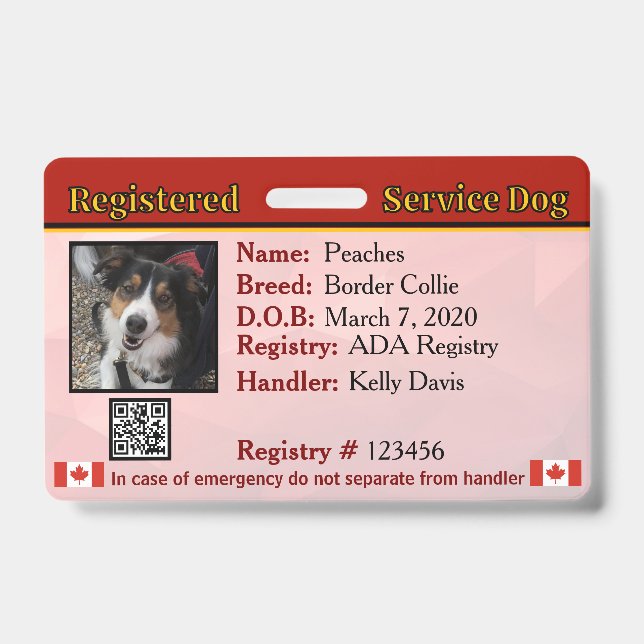 Tarjeta De Identificación Insignia de perro de servicio Canadá (Parte frontal)