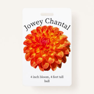 Tarjeta De Identificación Jowey Chantal Dahlia ID Badge