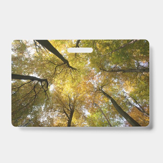 Tarjeta De Identificación Leafy Canopy (Parte frontal)