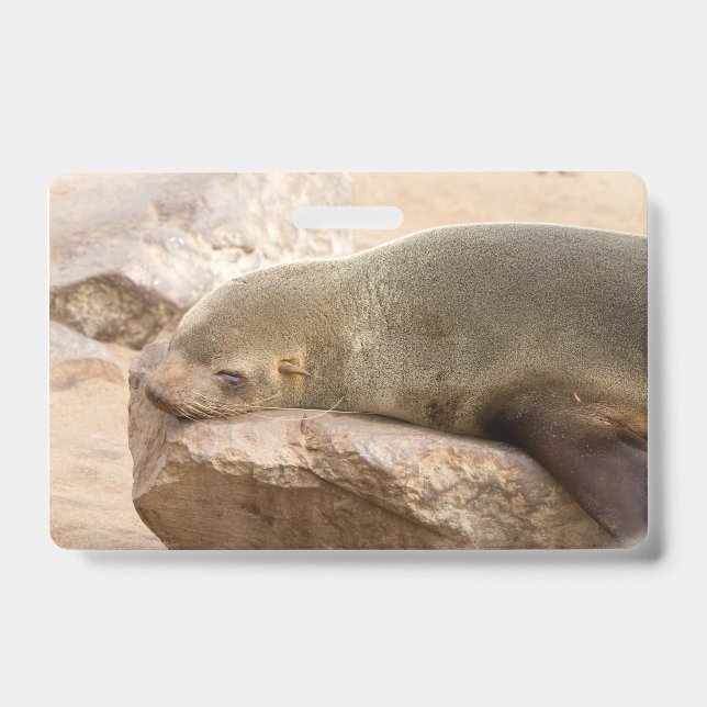 Tarjeta De Identificación León marino joven (Parte frontal)