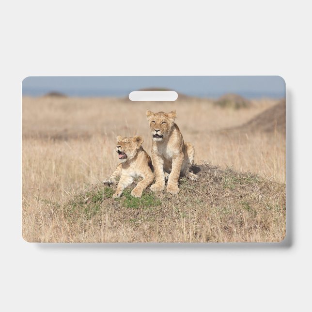 Tarjeta De Identificación Leones jóvenes (Parte frontal)