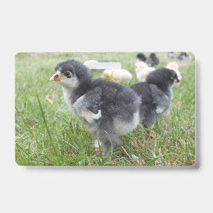 Tarjeta De Identificación linda, granja, animales, niños, animales de granja