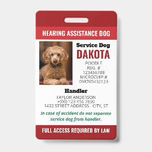 Tarjeta De Identificación Logotipo de Perro de Asistencia para Discapacidad 