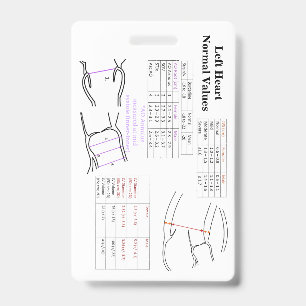 Tarjeta De Identificación LV / Valores de la válvula
