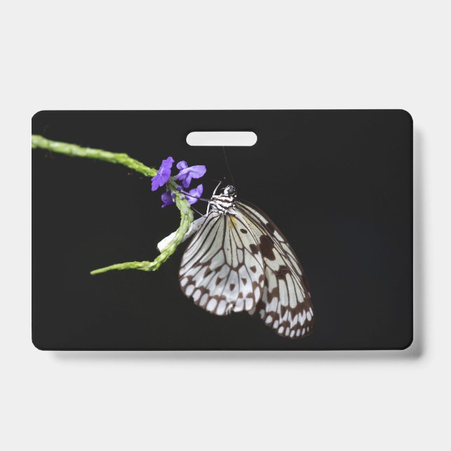Tarjeta De Identificación Mariposa (Parte frontal)