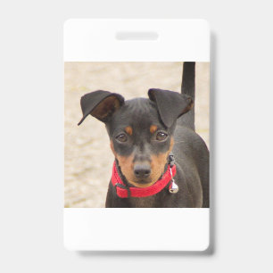 Tarjeta De Identificación mini-pinscher-negro y óxido