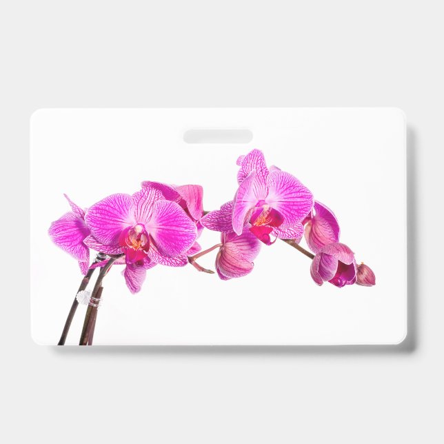 Tarjeta De Identificación Orquídea (Parte frontal)