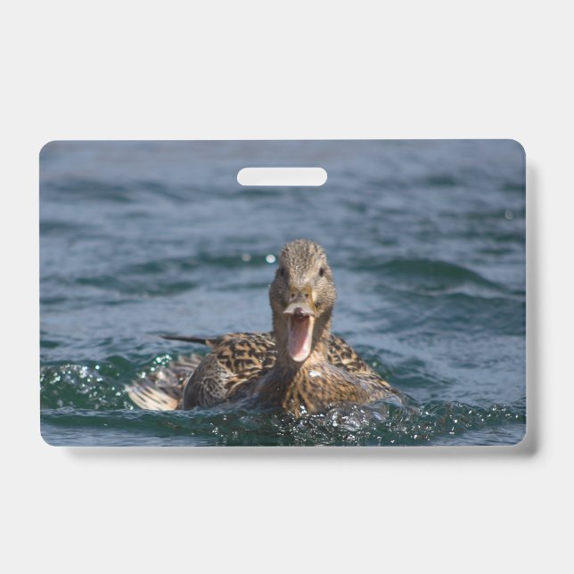 Tarjeta De Identificación Pato con el pico abierto   (Parte frontal)
