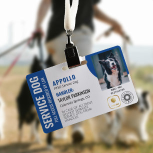 Tarjeta De Identificación Perro de Servicio Azul Blanco 2 Logotipos y Foto I