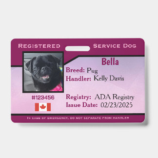 Tarjeta De Identificación Perro de Servicio Horizontal Púrpura