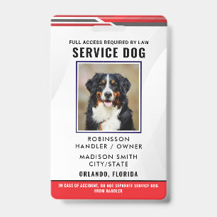 Tarjeta De Identificación Perro de Servicio Personalizado
