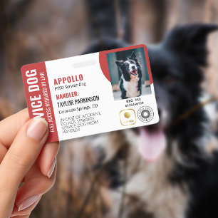Tarjeta De Identificación Perro de Servicio Rojo Blanco 2 Logotipos y Foto I