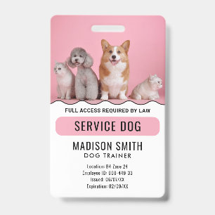Tarjeta De Identificación Perro del servicio blanco rojo personalizado
