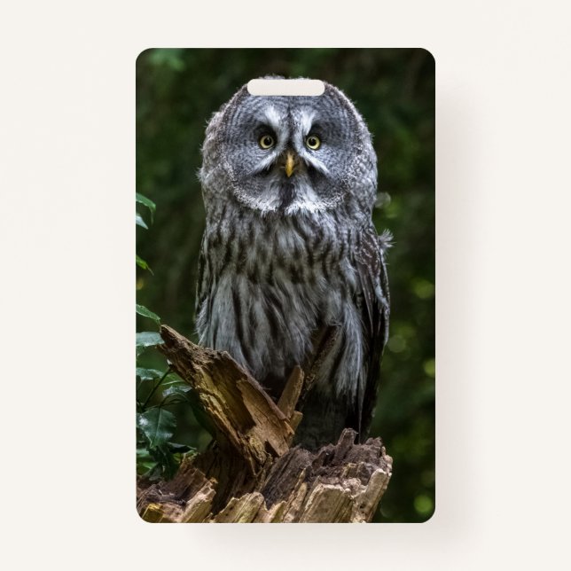 Tarjeta De Identificación Photo Enlargement (Anverso)