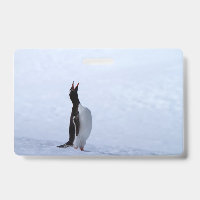 Tarjeta De Identificación pingüino de Gentoo (Parte frontal)