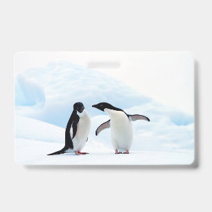 Tarjeta De Identificación Pingüinos Adelie