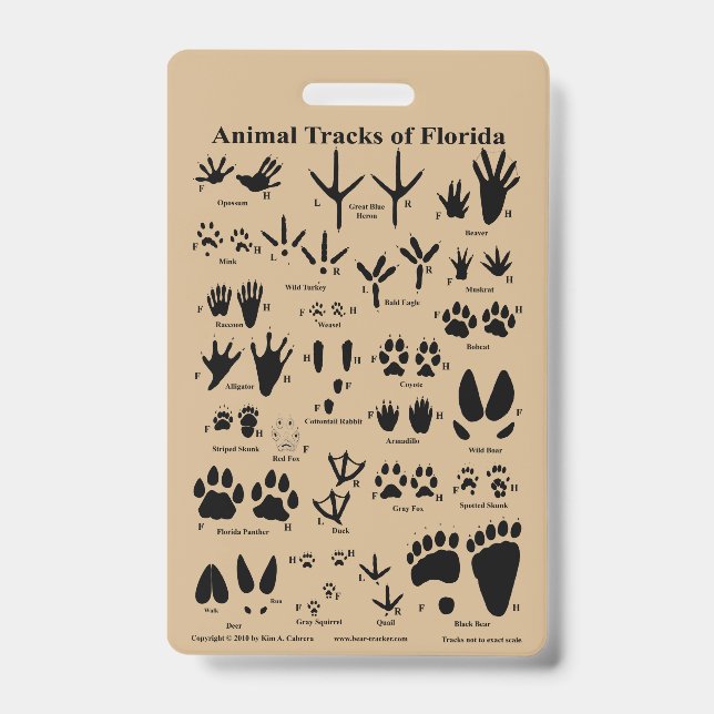Tarjeta De Identificación Pistas de animales de Florida (Anverso)