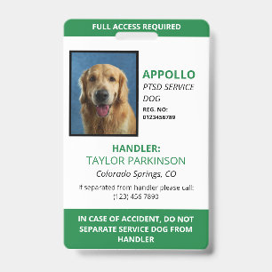 Tarjeta De Identificación Placa de identificación de perro de servicio verde