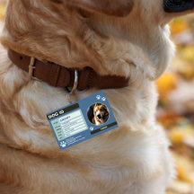 Placa de identificación para perro moderna azul ve