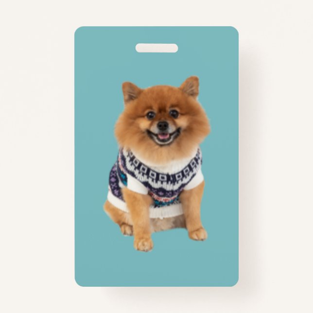 Tarjeta De Identificación Poochie Dog Sweater | (Anverso)