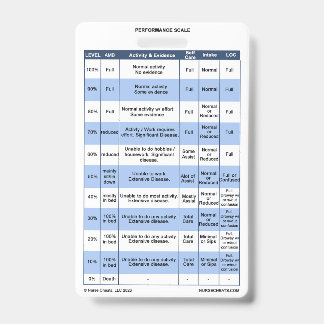 Tarjeta De Identificación PPS / KPS Badge Buddy para enfermeras de hospicio