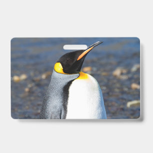 Tarjeta De Identificación Retrato de pingüino
