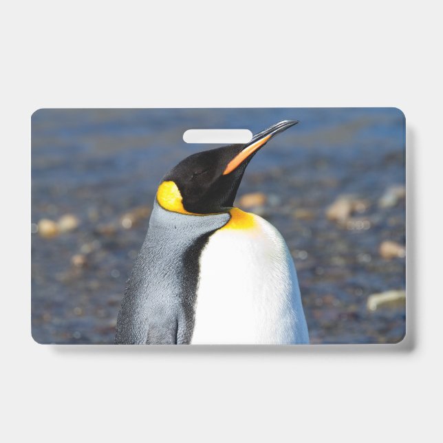 Tarjeta De Identificación Retrato de pingüino (Parte frontal)