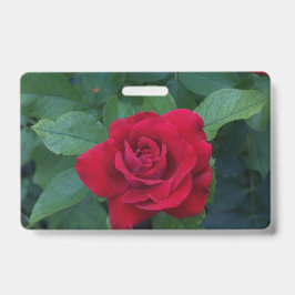 Tarjeta De Identificación Rosa Roja de Cerca