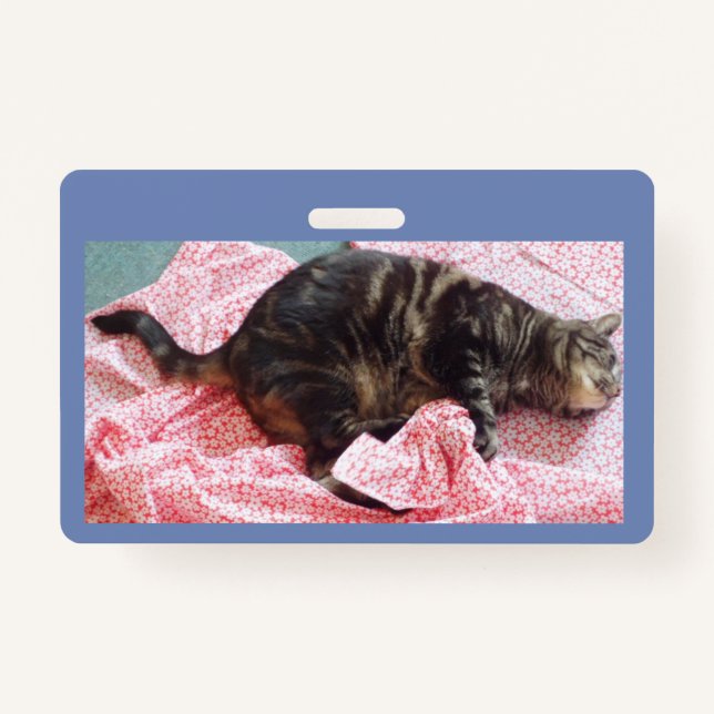 Tarjeta De Identificación sastre Dave ID Badge (Anverso)