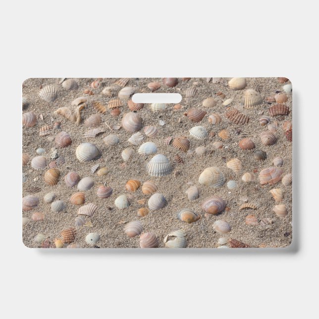 Tarjeta De Identificación Sea shells at the beach (Parte frontal)