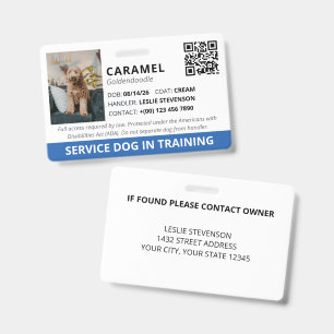 Tarjeta De Identificación Servicio de Código QR Personalizado Azul Perro de