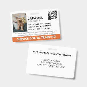 Tarjeta De Identificación Servicio de código QR personalizado naranja Perro