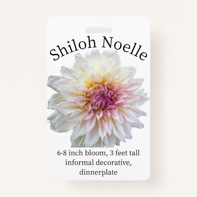 Tarjeta De Identificación Shiloh Noelle Dahlia ID Badge (Anverso)