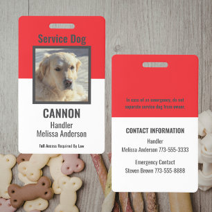 Tarjeta De Identificación Simple ID Personalizado Rojo y Blanco para Perro d
