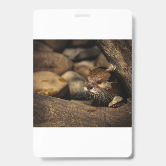 Tarjeta De Identificación test