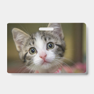 Tarjeta De Identificación Un gatito lindo con ojos verdes