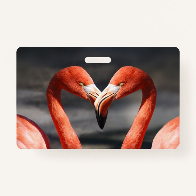 Tarjeta De Identificación Valentine Flamingo (Anverso)
