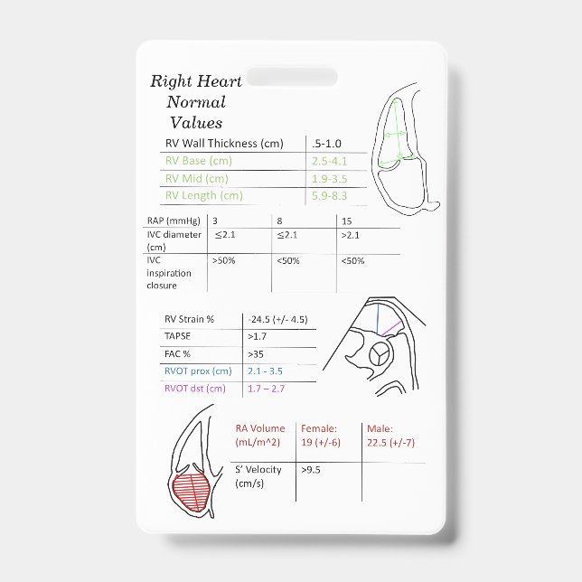 Tarjeta De Identificación Valores de RV insignia (Parte frontal)