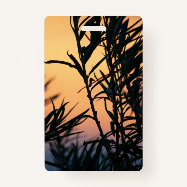 Tarjeta De Identificación Vegetación al atardecer (Anverso)