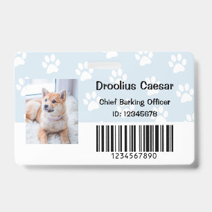 Tarjeta De Identificación Veterinario de cuidado de animales domésticos Foto