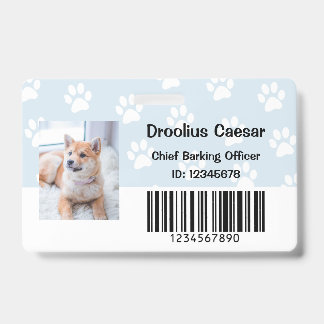 Tarjeta De Identificación Veterinario de cuidado de animales domésticos Foto