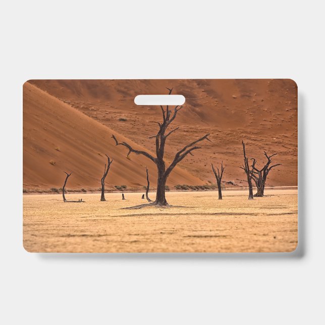 Tarjeta De Identificación Vlei muerto, Namibia (Parte frontal)