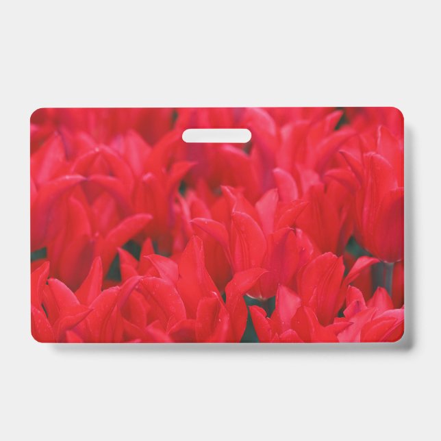 Tarjeta De Identificación Waves de Crimson (Parte frontal)