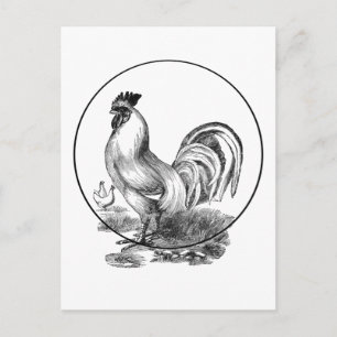 Tarjeta de ilustracion de gallo de época