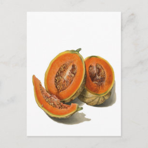 Tarjeta de ilustración de melón cantalupo en rodaj